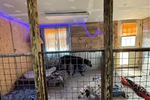 5306 Temperance Hall Rd, Elm City, NC 27822 - Photo 12