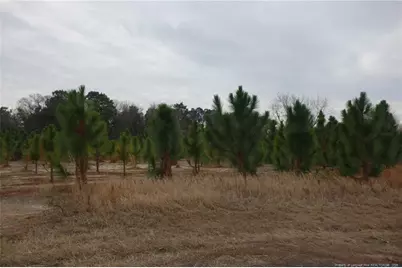 Lot 37 Stuarts Mill Road, Fairmont, NC 28340 - Photo 1