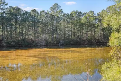 73 Scotch Lane, Saint Pauls, NC 28384 - Photo 30