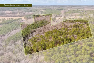 00 Lloyd Stewart Road, Broadway, NC 27505 - Photo 4