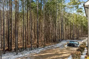 55 Bob White, Pittsboro, NC 27312 - Photo 44