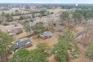 132 Eulon Loop, Raeford, NC 28376 - Photo 44