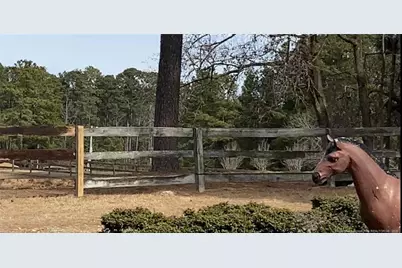 Western Trail, Carthage, NC 28327 - Photo 10