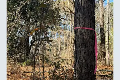 856 Harvey Lillie Avenue, Hope Mills, NC 28348 - Photo 4