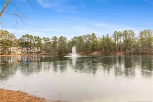 288 New Castle Ln, Spring Lake, NC 28390 - Photo 38