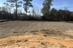 245 Buggy Top Ln, Autryville, NC 28318 - Photo 6