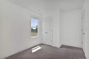 245 Buggy Top Ln, Autryville, NC 28318 - Photo 32