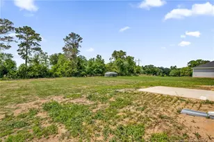 245 Buggy Top Ln, Autryville, NC 28318 - Photo 36