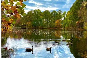 129 Barons Run W, Spring Lake, NC 28390 - Photo 34