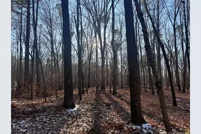 Oldham Lake Road, Sanford, NC 27330 - Photo 6