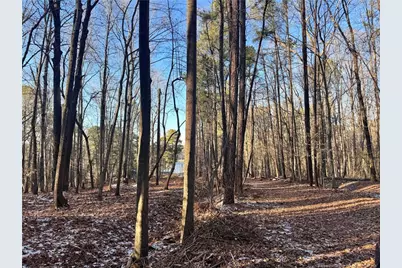 Oldham Lake Road, Sanford, NC 27330 - Photo 4