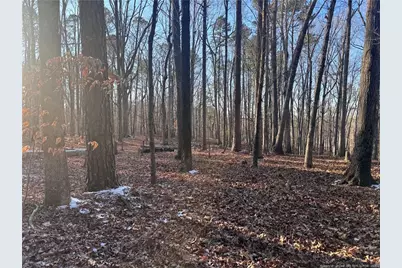 Oldham Lake Road, Sanford, NC 27330 - Photo 1