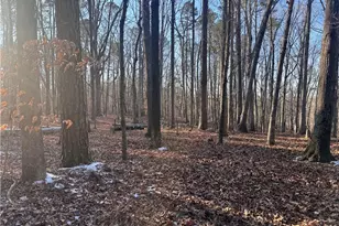 Oldham Lake Rd, Sanford, NC 27330 - Photo 1