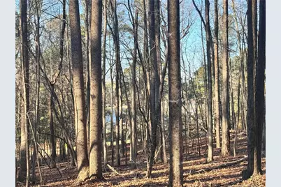 Oldham Lake Road, Sanford, NC 27330 - Photo 2