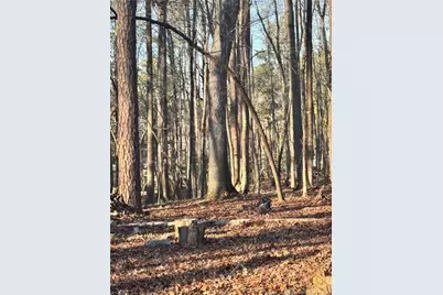 Oldham Lake Road, Sanford, NC 27330 - Photo 12