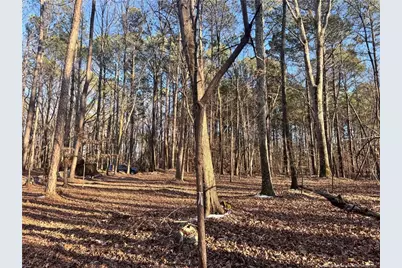 Oldham Lake Road, Sanford, NC 27330 - Photo 10