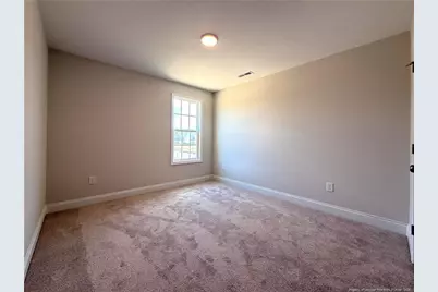 253 Crowville Street, Raeford, NC 28376 - Photo 34
