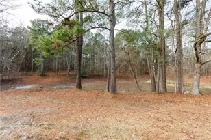 653 Lower River Rd, Broadway, NC 27505 - Photo 22