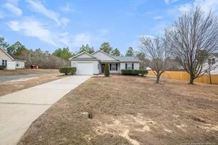 2048 Tingen Rd, Broadway, NC 27505 - Photo 2