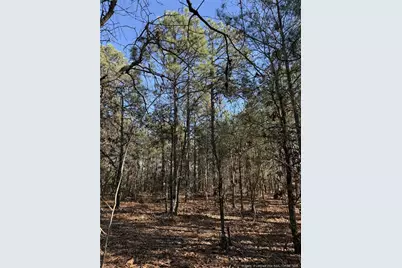 257 Lakeview Lane, Cameron, NC 28326 - Photo 1