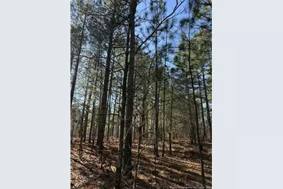 257 Lakeview Lane, Cameron, NC 28326 - Photo 2