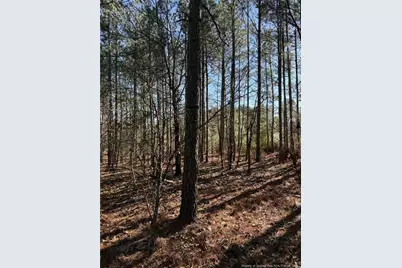 257 Lakeview Lane, Cameron, NC 28326 - Photo 4