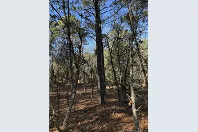 257 Lakeview Lane, Cameron, NC 28326 - Photo 6