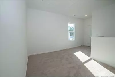 246 Tormore Drive, Sanford, NC 27330 - Photo 22