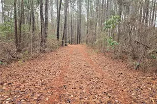 488 Green St, Parkton, NC 28371 - Photo 2