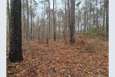 488 Green Street, Parkton, NC 28371 - Photo 8