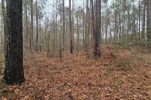 488 Green St, Parkton, NC 28371 - Photo 8