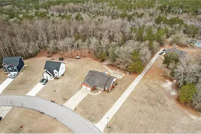 6980 Glynn Mill Farm Drive, Fayetteville, NC 28306 - Photo 6