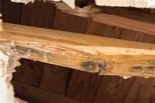 7534 Cliffbourne Dr, Fayetteville, NC 28303 - Photo 28