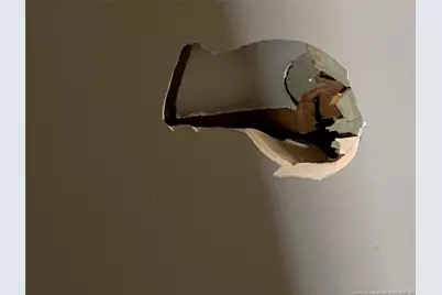 7534 Cliffbourne Drive, Fayetteville, NC 28303 - Photo 26