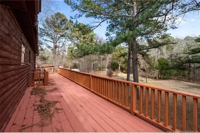 447 Blackstone Road, Sanford, NC 27330 - Photo 32