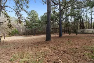 447 Blackstone Rd, Sanford, NC 27330 - Photo 36