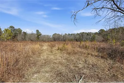 Lot A 1600 Mt. Willing Road, Efland, NC 27243 - Photo 28