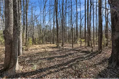 Lot A 1600 Mt. Willing Road, Efland, NC 27243 - Photo 18