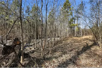 Lot A 1600 Mt. Willing Road, Efland, NC 27243 - Photo 20