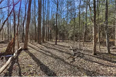 Lot A 1600 Mt. Willing Road, Efland, NC 27243 - Photo 24