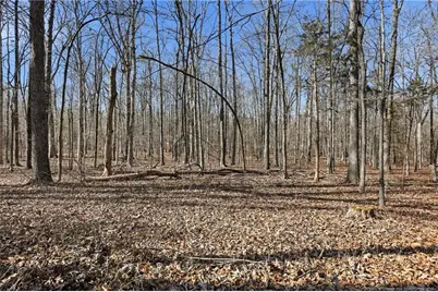 Lot A 1600 Mt. Willing Road, Efland, NC 27243 - Photo 26
