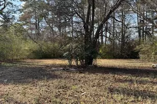 2513 E Brinkley Dr, Spring Lake, NC 28390 - Photo 22