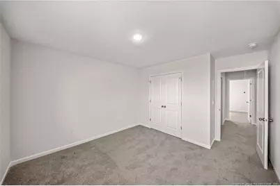 254 Traveller Way, Raeford, NC 28376 - Photo 22