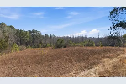 1600 Mt. Willing Road, Efland, NC 27243 - Photo 6