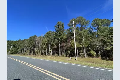 E Powersville Road, Lumberton, NC 28358 - Photo 2