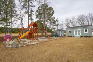 3344 Cypress Church Rd, Cameron, NC 28326 - Photo 46