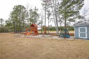 3344 Cypress Church Rd, Cameron, NC 28326 - Photo 46