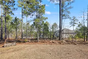 251 School Side Dr, Spring Lake, NC 28390 - Photo 48