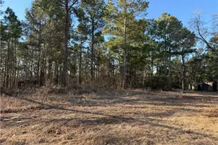 241 Patches Ln, Roseboro, NC 28382 - Photo 6