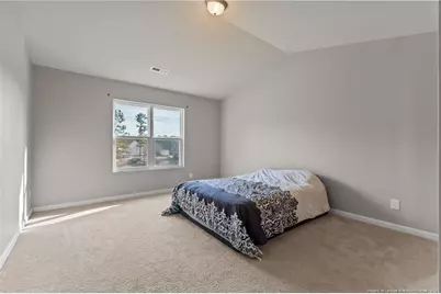 46 Bella Howington Drive, Lillington, NC 27546 - Photo 14